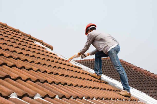 Best Skylight Installation and Repair  in Brooksville, MS
